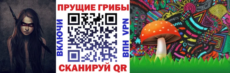 Псилоцибиновые грибы Psilocybe  ОМГ ОМГ как войти  Буинск  цена наркотик 